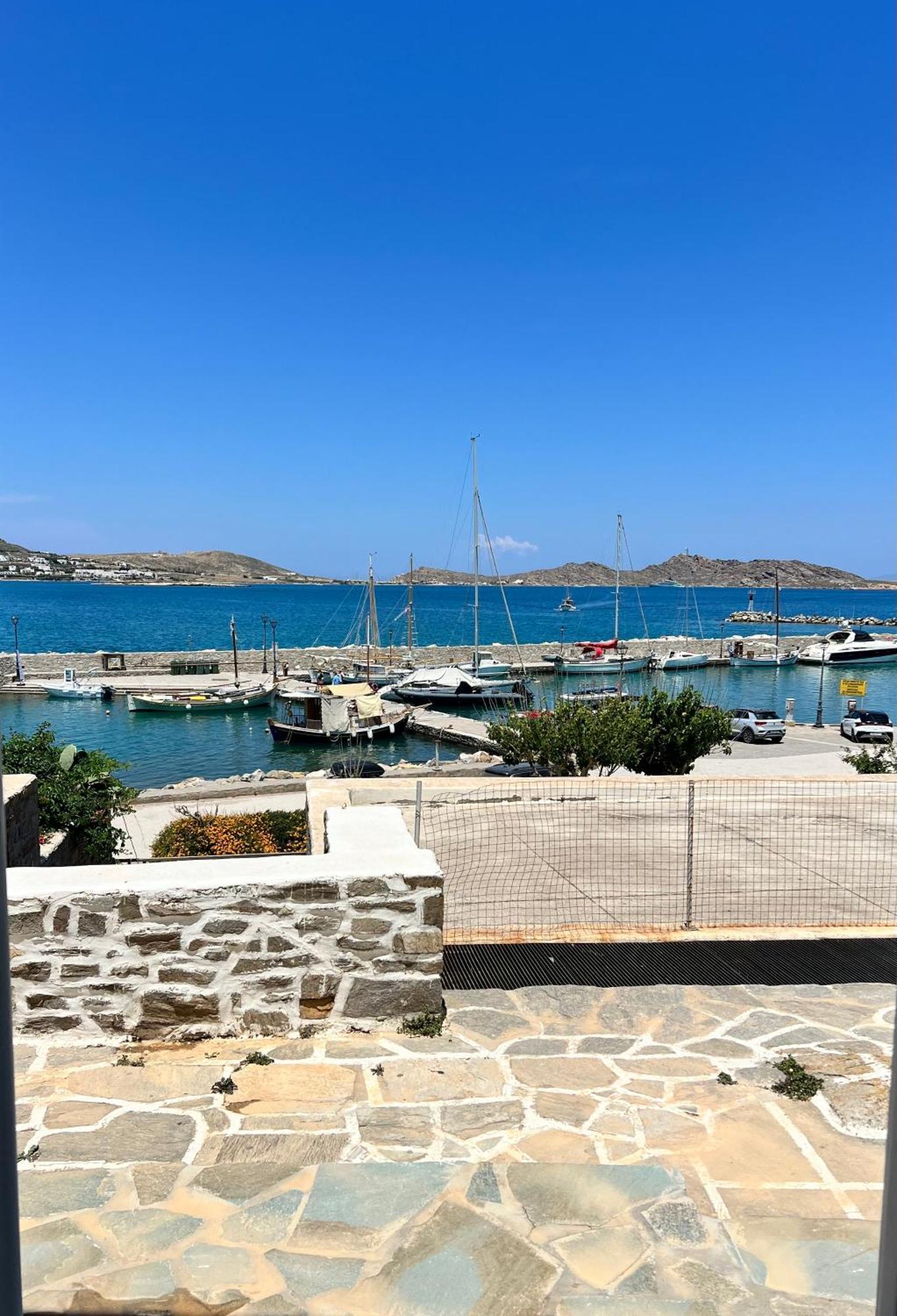 Daphne Naousa (Paros)